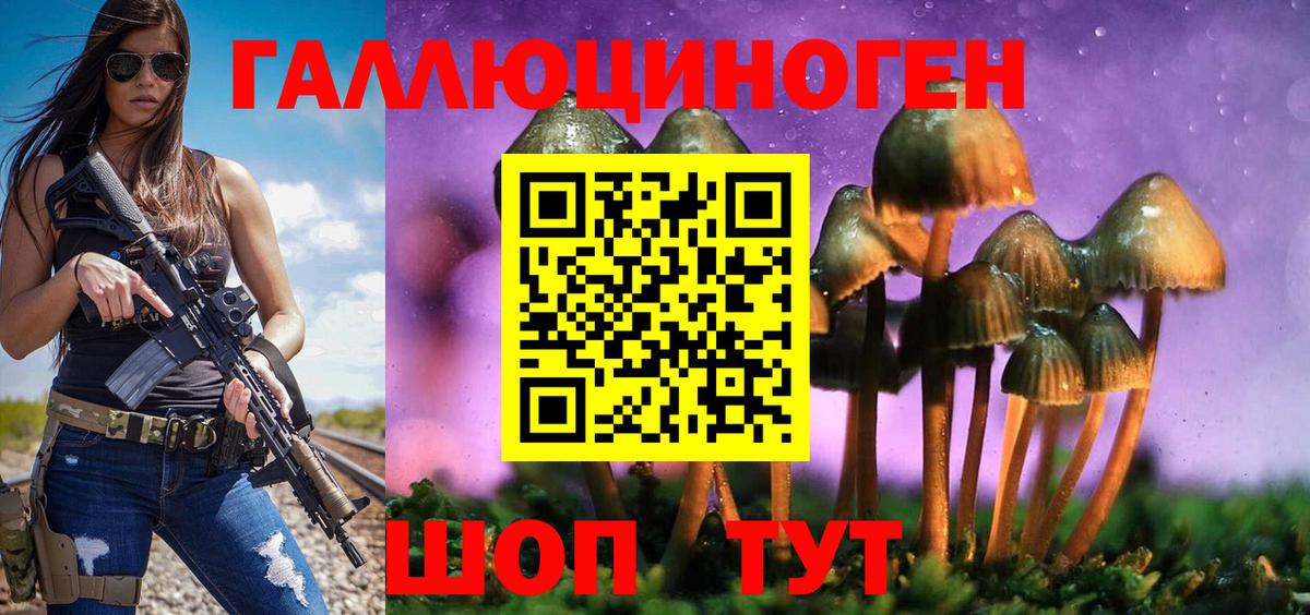 Нарткала  Галлюциногенные грибы ЛСД  Вход с VPN 